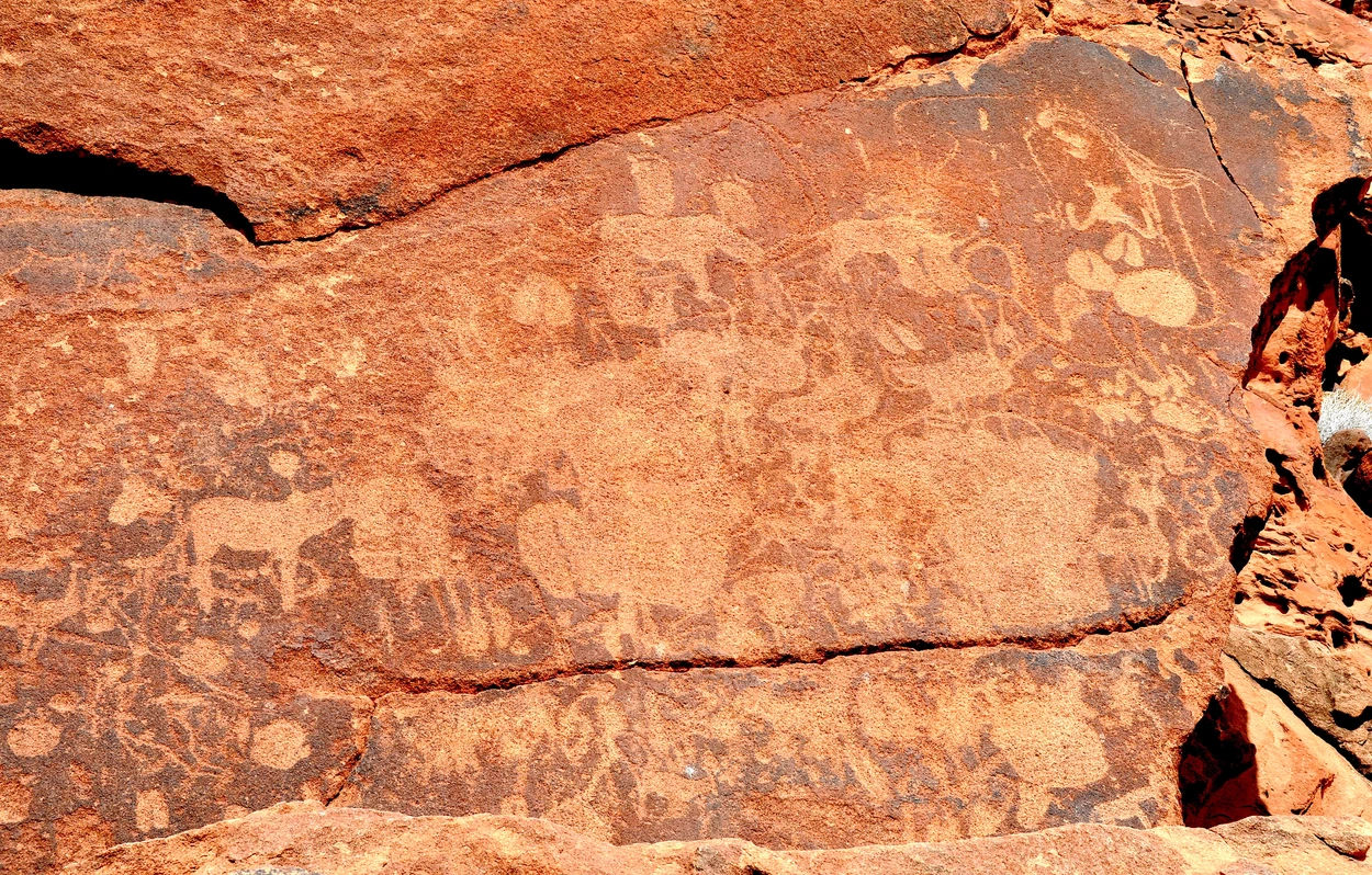 Petroglifos con representaciones animales grabadas sobre una superficie rocosa en Twyfelfontein.