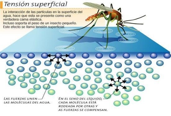 Tensión superficial del agua, la imprenta offset y el medio ambiente